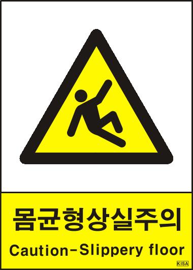 KISA V211(몸균형상실주의)